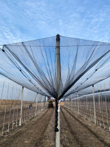 Кольцо оцинкованное для сетки 